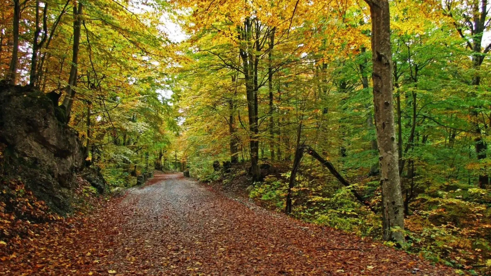 Hiking Vršac Mountains